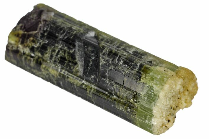 Beautiful Bicolored Dravite-Elbaite Crystal - Tanzania #131549